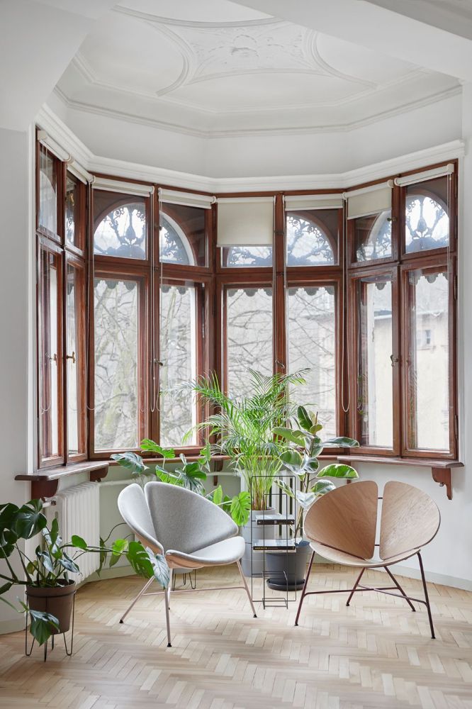 Fotel Ginka / fornir dębowy / Tabanda