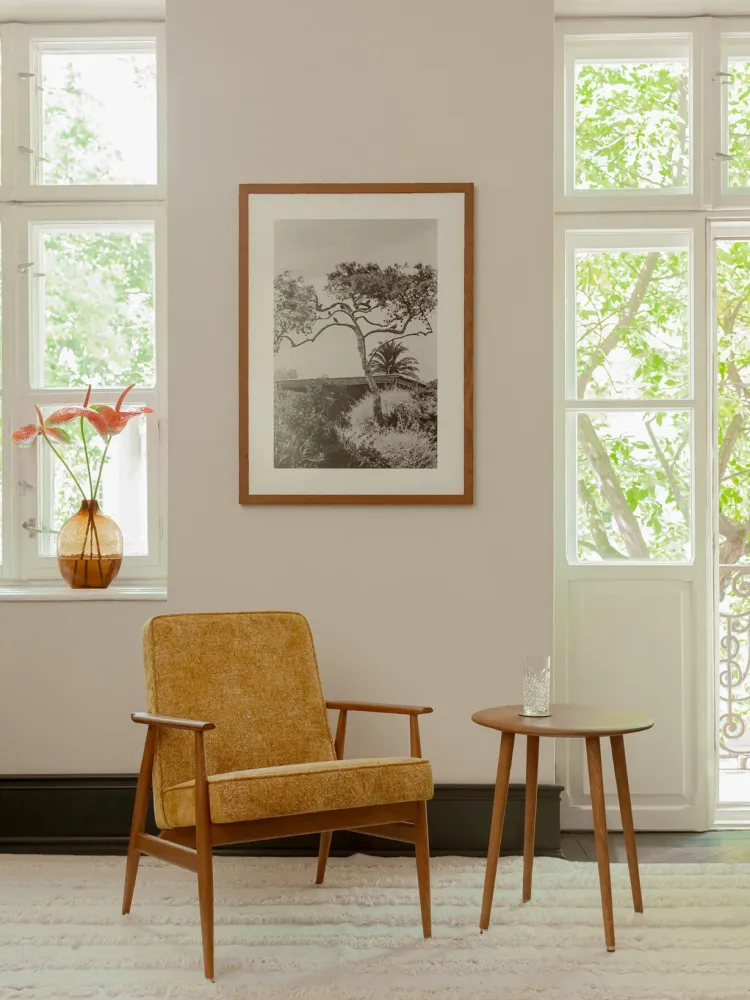 Fotel Fox / 366 Concept