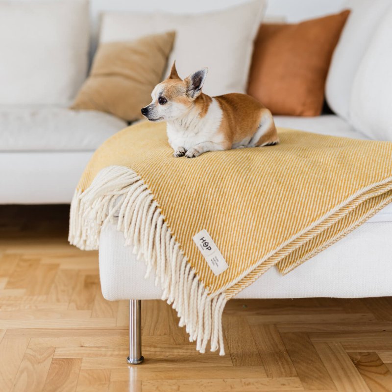Wełniany koc Ruru / musztardowy ecru / HOP Design