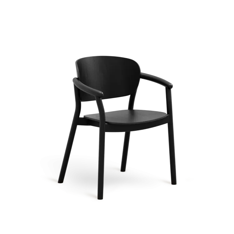 Fotel Bizo twardy / B-2631 / Paged